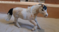 /album/fotogalerij-onze-paarden/schermafbeelding-2013-03-14-om-16-10-14-png/